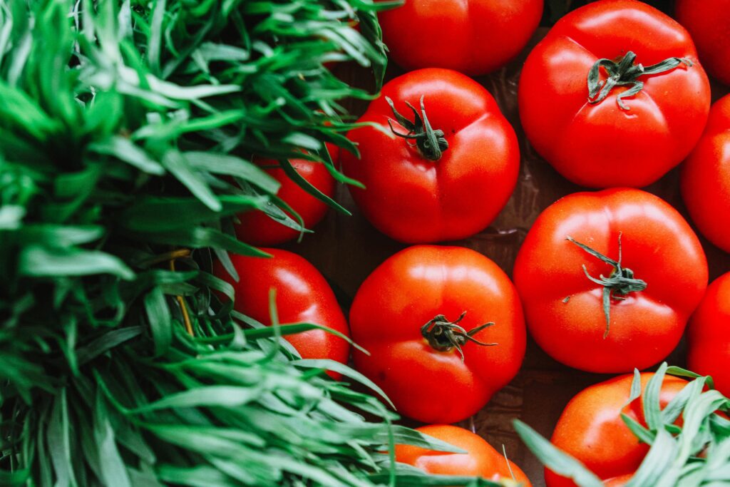 summer-vegetables-to-grow-tomatoes